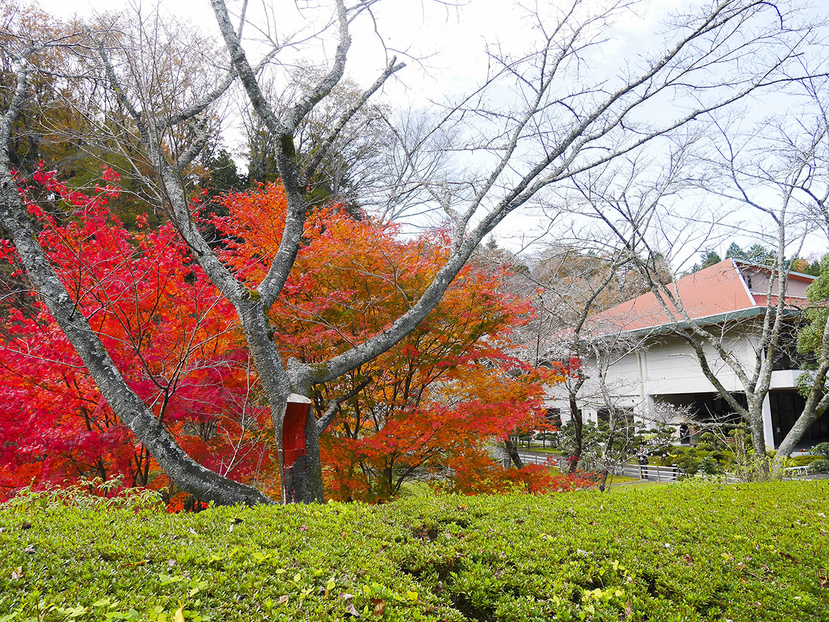 豊田市小原和紙のふるさと（美術館・和紙工芸体験館）