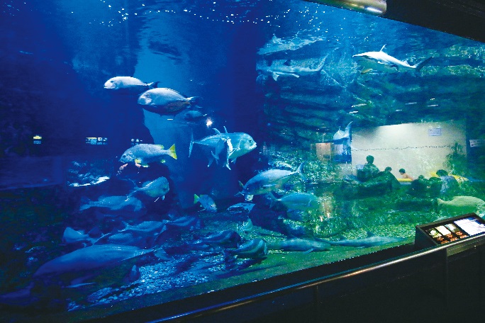 碧南海浜水族館