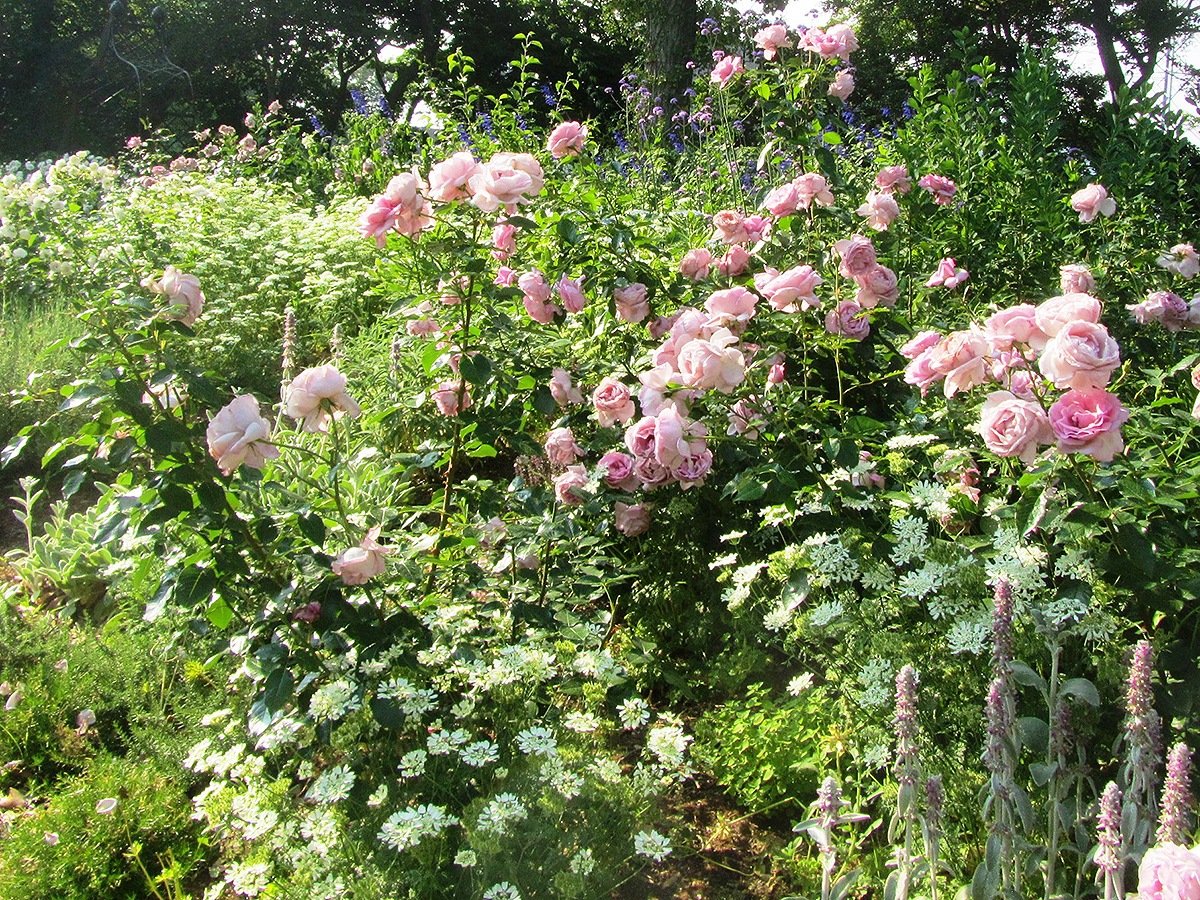 豊橋総合動植物公園,のんほいパーク