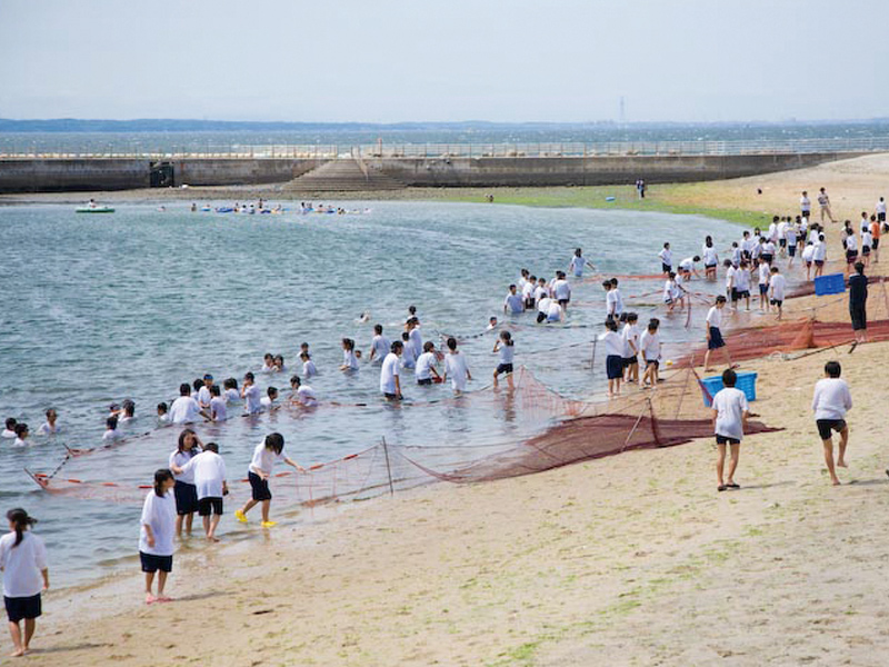 日間賀島