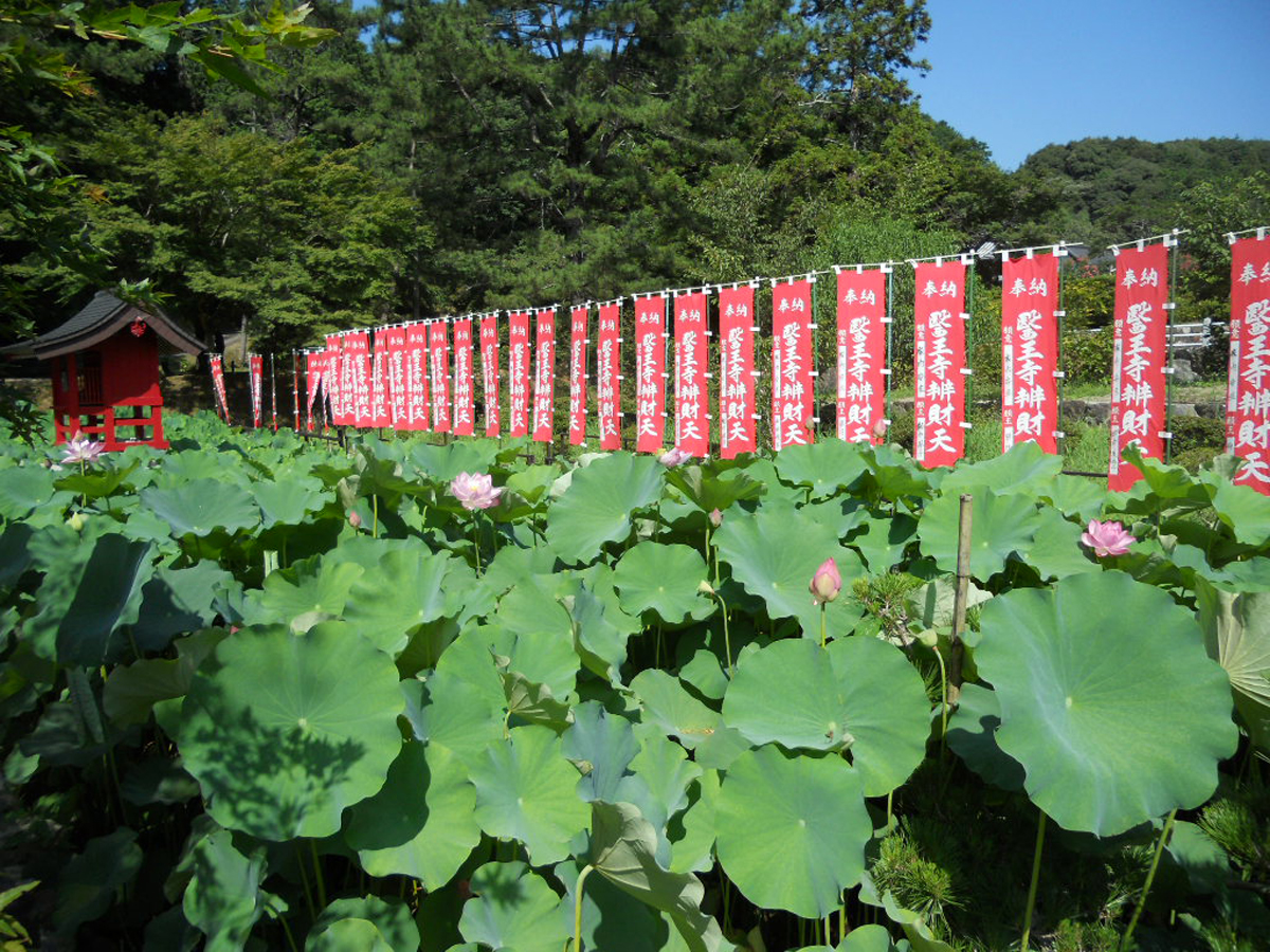医王寺