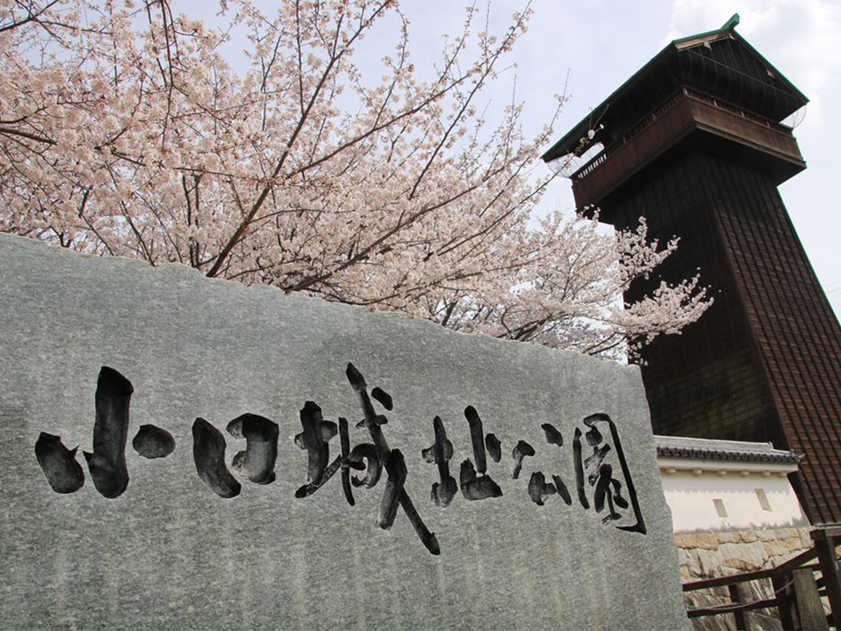 小口城址公園
