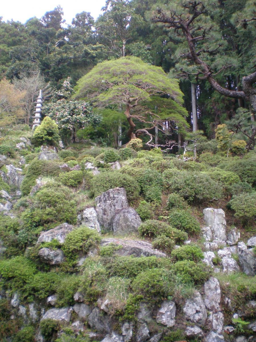 青龍山 満光寺