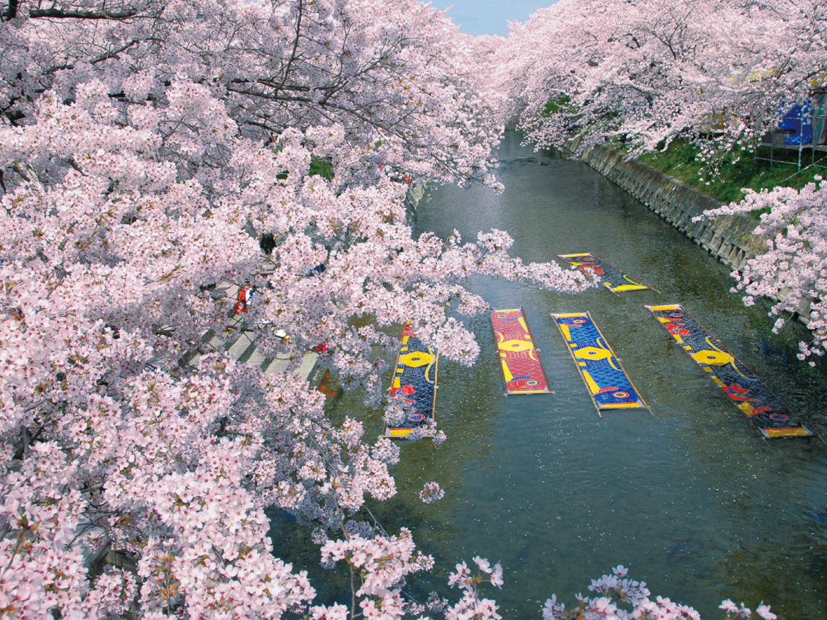 五条川・のんぼり洗い