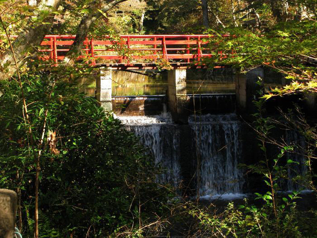 愛知高原国定公園・岩屋堂公園