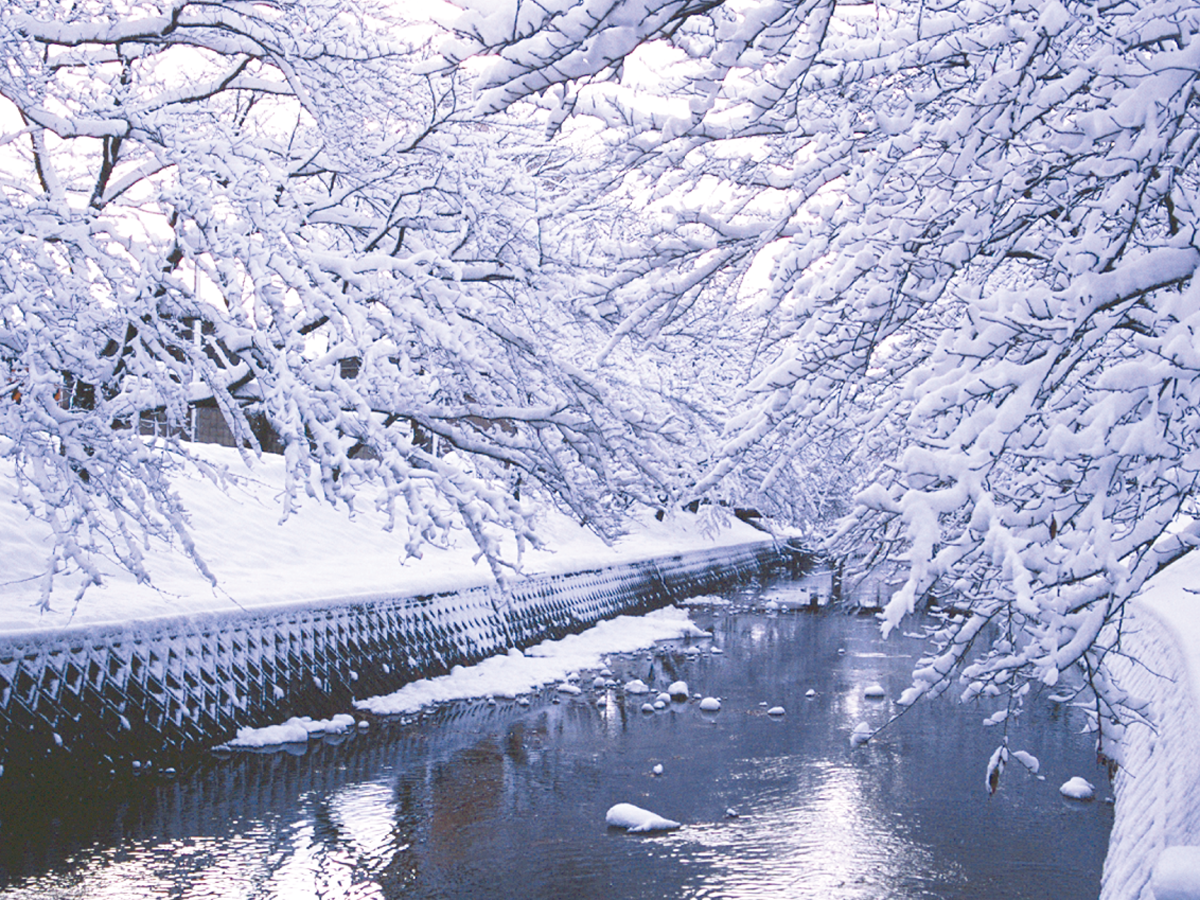 五条川・冬