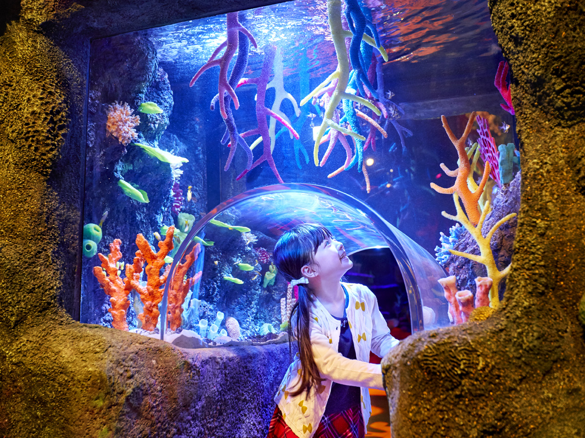名古屋シーライフ水族館