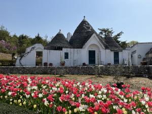 野外民族博物館　リトルワールド