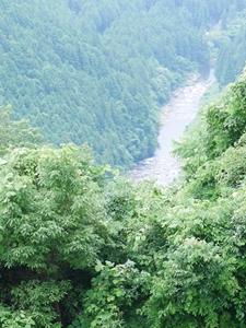 田峯城
