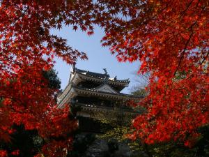 西尾城和旧近卫邸（西尾市历史公园）