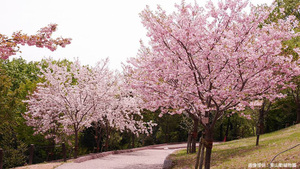 東山動植物園