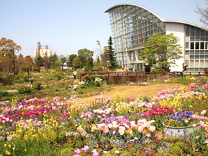 Nagoya Port Wildflower Garden Bluebonnet (Closed)