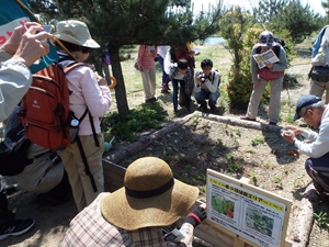 ⑦さららパーク自然観察会