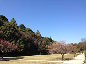 小牧山城