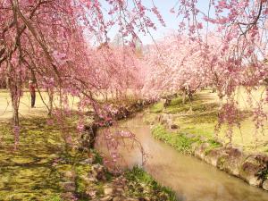 愛知県森林公園
