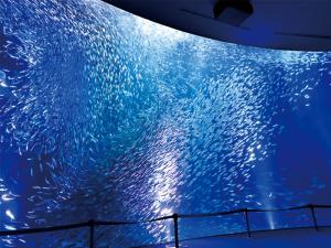 名古屋港水族館