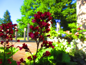 久屋大通庭園フラリエ