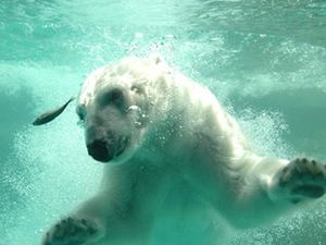 Toyohashi Zoo &amp; Botanical Park (Non Hoi Park)