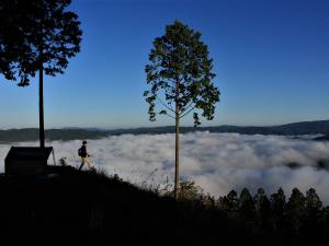 Sea of Clouds at Mt. Oshi (Oshiyama Unkai)