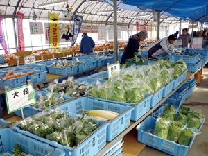 歡樂農場鵜之池 水果採摘