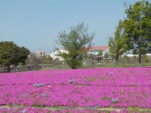 三ツ又池公園