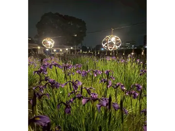 花かつみ園