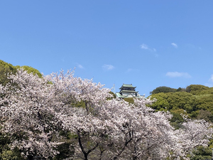 小牧山城