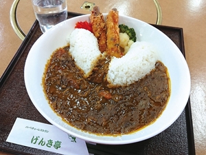 矢作ダムカレー