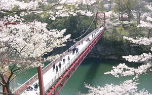 樱渊公园