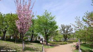 東山動植物園