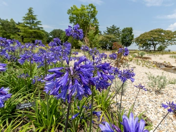 Megrass Garden Nagoya