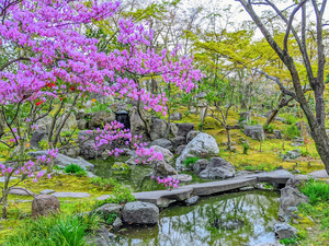 有楽苑(国宝茶室如庵)