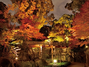 徳川園