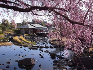 白鳥庭園