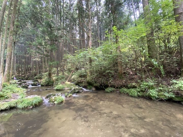 野原川観光センター