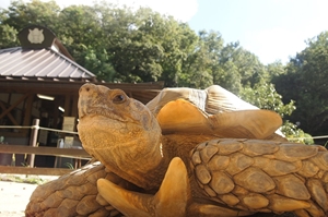 東公園