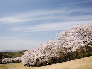 鞍ケ池公園