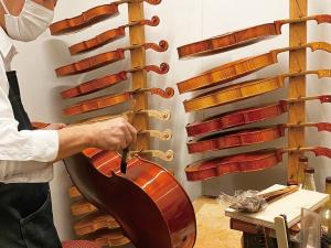 Suzuki Violin Co., Ltd.