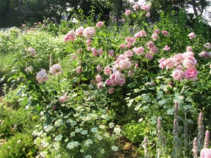 豊橋総合動植物公園,のんほいパーク