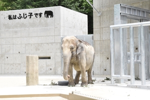 東公園
