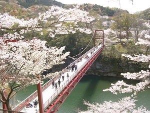 櫻淵公園