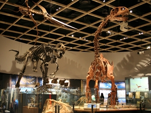 豊橋総合動植物公園,自然史博物館