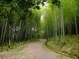 愛知県森林公園