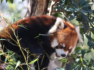 豊橋市総合動植物公園【のんほいパーク】