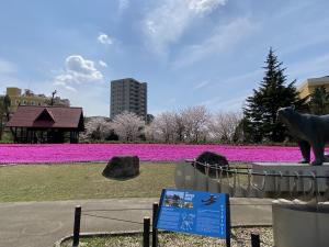 ミササガパーク(猿渡公園)