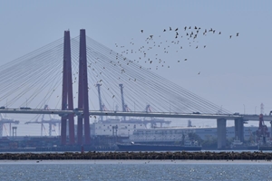 名古屋市野鳥観察館