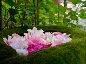 菅生神社