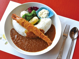 矢作ダムカレー