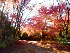 愛知県森林公園