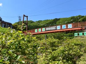 グリーンステージ花の木